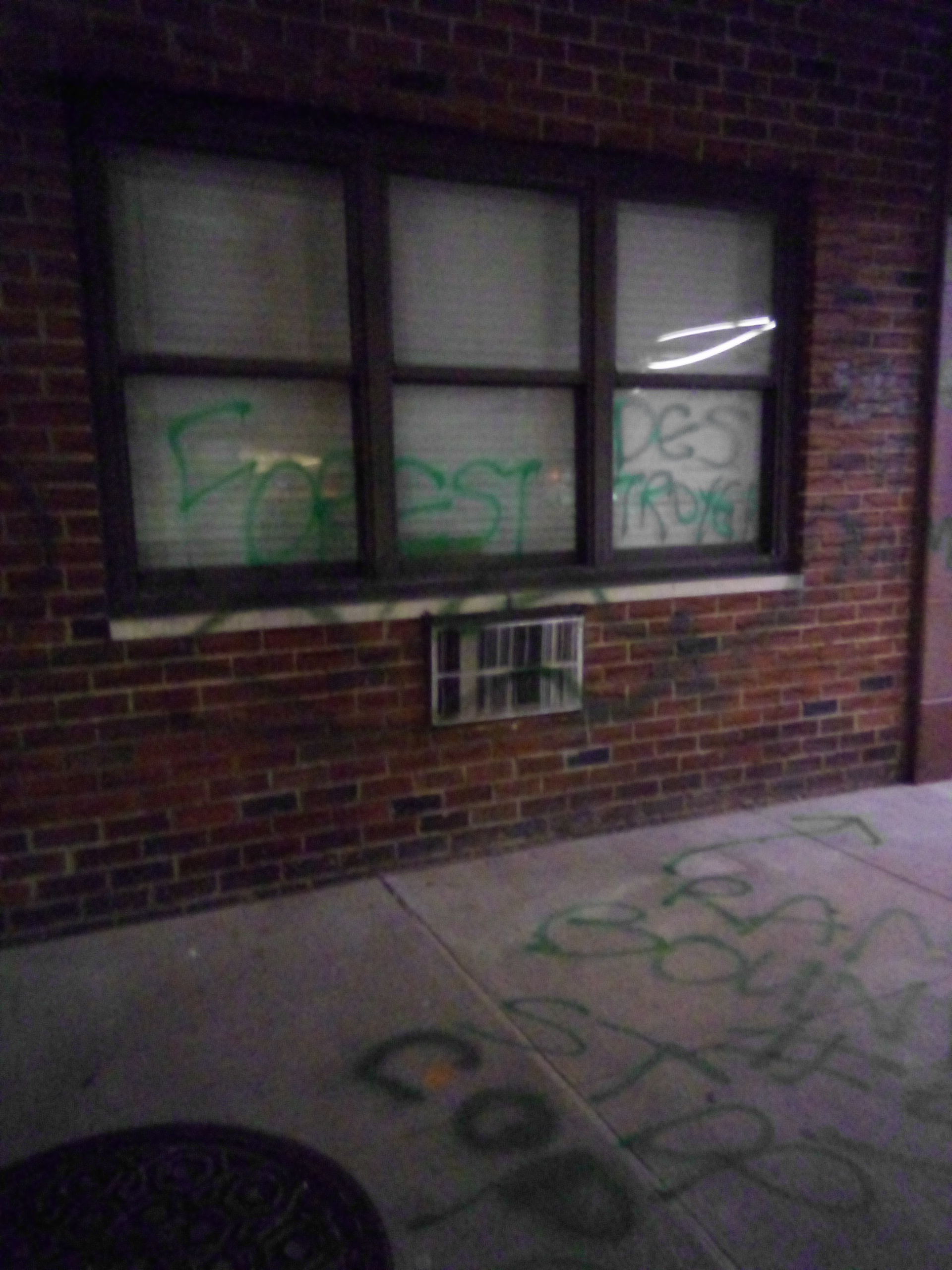 A window on a brick wall is spray painted "FOREST DESTROYER" in green.