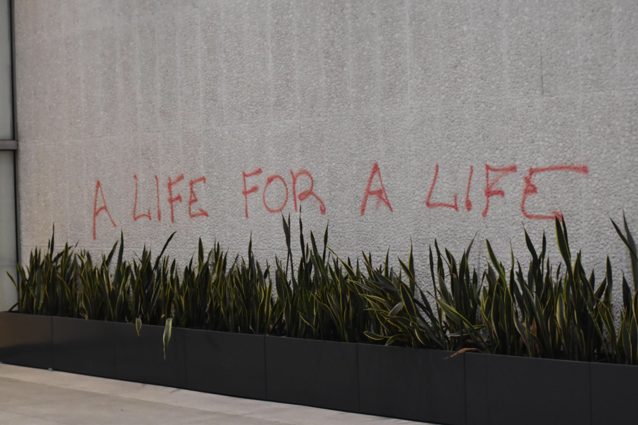 Onto a concrete wall in front of grass, A LIFE LIFE FOR A LIFE" is tagged in red spray paint.
