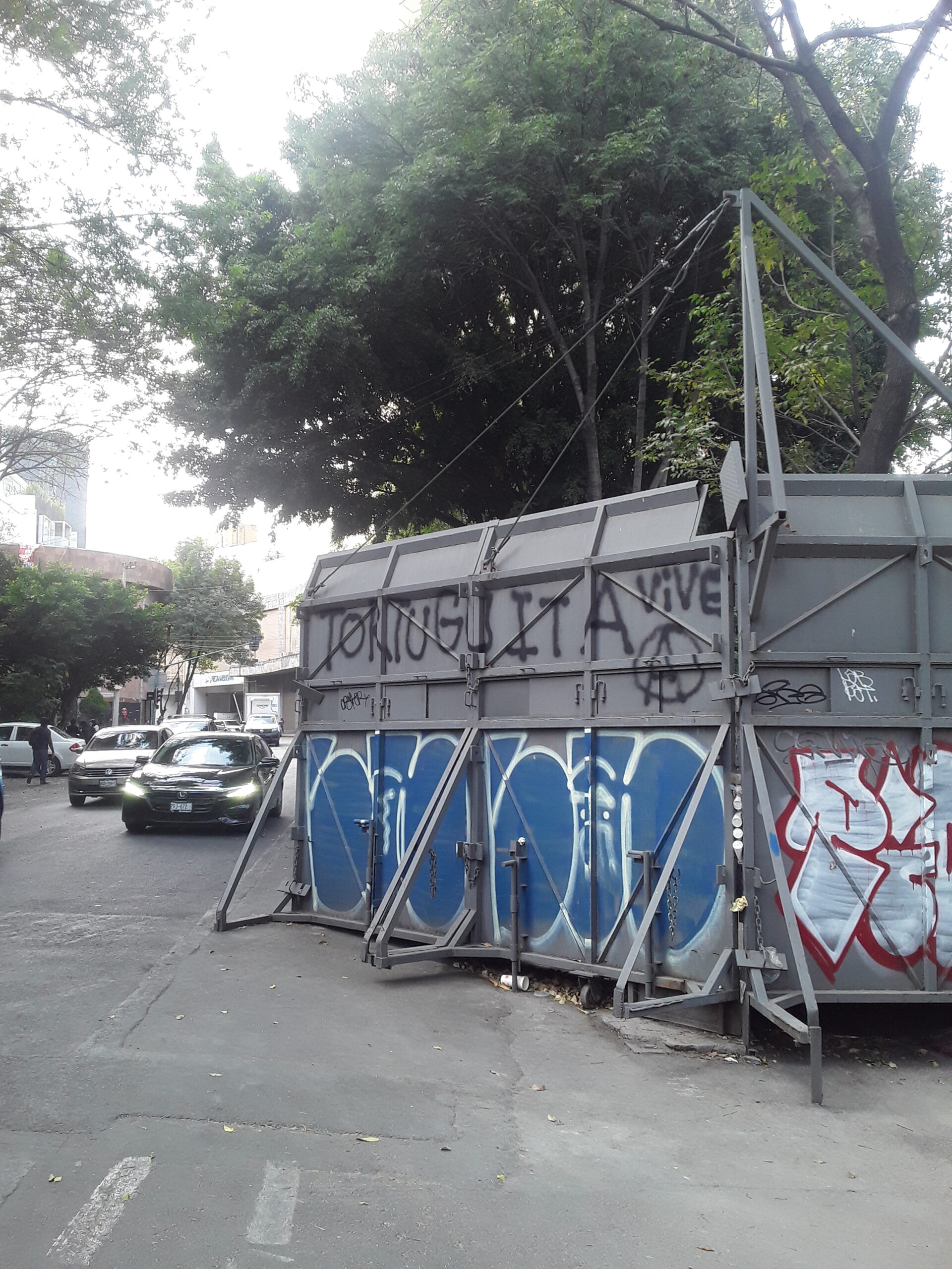 On a gray barricade in a busy city street, "TORTUGUITAN VIVE" is tagged next to an anarchist circle-A symbol and above two other unrelated tags in black spray paint.