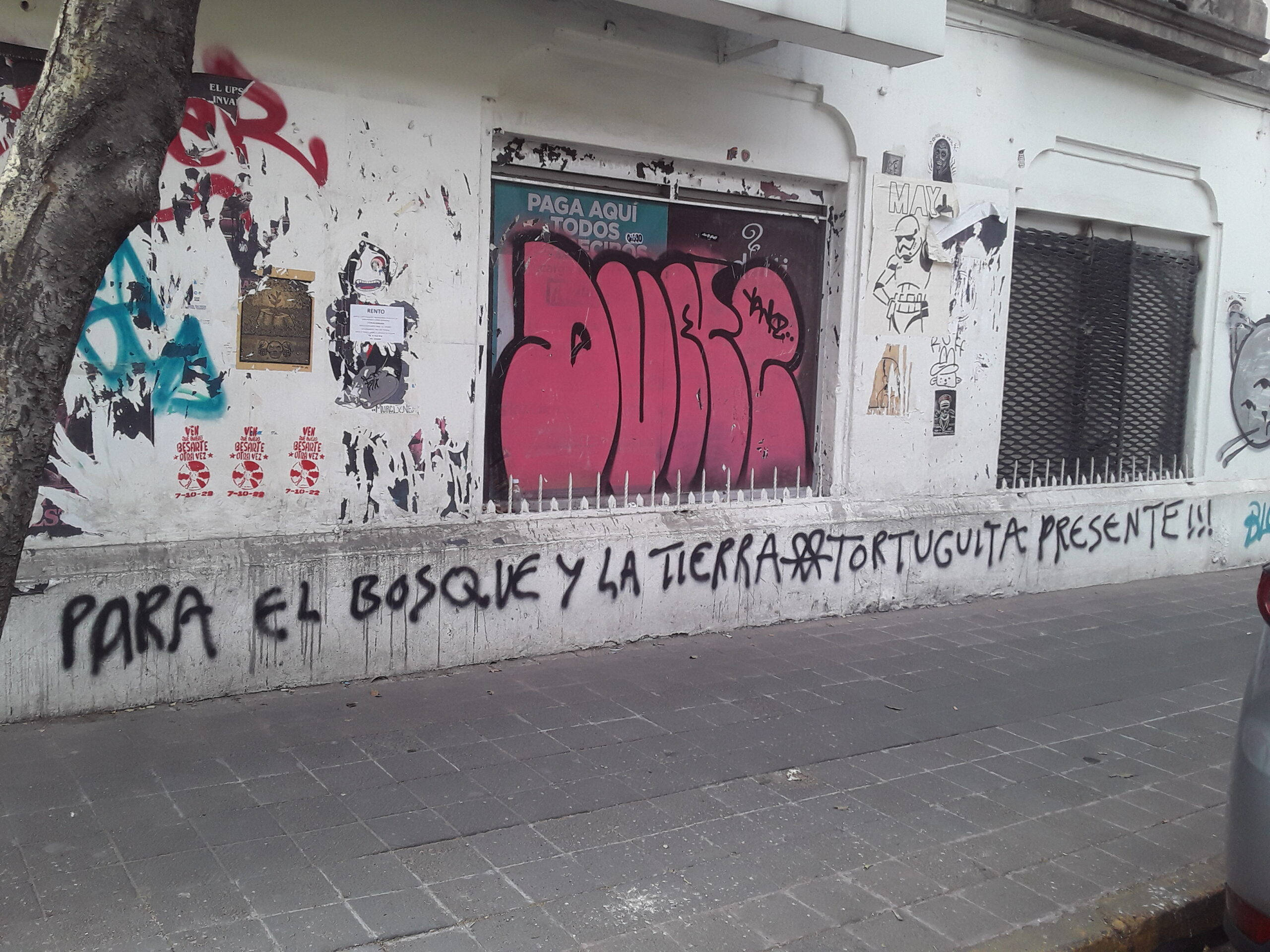 On a white wall covered with old wheatpasted flyers and other tags, "PARA EL BOSQUE Y LA TIERRA" - then a heart with an A inside of it in the style of an anarchist circle-A symbol - "TORTUGUITA PRESENTE!!!" is tagged in black spray paint.